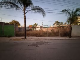  Land for rent in Jesus Maria, Aguascalientes, Jesus Maria, Aguascalientes