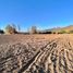 Terreno (Parcela) en venta en Chacabuco, Santiago, Colina, Chacabuco