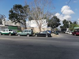  Terreno (Parcela) en alquiler en Othon P Blanco, Quintana Roo, Othon P Blanco, Quintana Roo