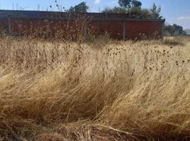  Terreno (Parcela) en venta en Salamanca, Guanajuato, Salamanca