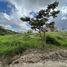  Terreno (Parcela) en venta en Xico, Veracruz, Xico