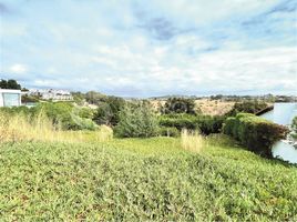  Land for sale in Chile, Puchuncavi, Valparaiso, Valparaiso, Chile