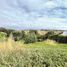  Land for sale in Chile, Puchuncavi, Valparaiso, Valparaiso, Chile
