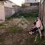  Terreno (Parcela) en venta en Maipo, Santiago, San Bernardo, Maipo