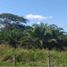 Studio House for sale in Carmen, Campeche, Carmen, Campeche