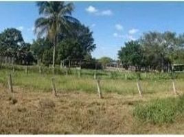 Studio House for sale in Carmen, Campeche, Carmen, Campeche