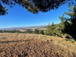  Terreno (Parcela) en venta en Chile, Paredones, Cardenal Caro, Libertador General Bernardo O'Higgins, Chile