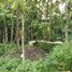  Terreno (Parcela) en venta en Ngaglik, Yogyakarta, Ngaglik