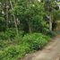  Terreno (Parcela) en venta en Ngaglik, Yogyakarta, Ngaglik