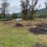  Terreno (Parcela) en venta en Hualane, Curicó, Hualane