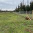  Terreno (Parcela) en venta en Hualane, Curicó, Hualane