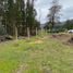  Terreno (Parcela) en venta en Hualane, Curicó, Hualane