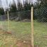  Terreno (Parcela) en venta en Hualane, Curicó, Hualane