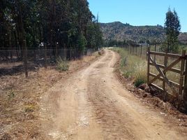  Terreno (Parcela) en venta en Hualane, Curicó, Hualane