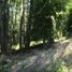  Terreno (Parcela) en venta en Chile, Panguipulli, Valdivia, Los Ríos, Chile