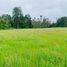  Land for sale in Chile, Pitrufquen, Cautin, Araucania, Chile