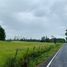  Land for sale in Chile, Pitrufquen, Cautin, Araucania, Chile