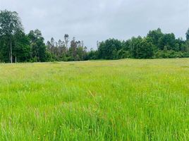  Land for sale in Chile, Pitrufquen, Cautin, Araucania, Chile