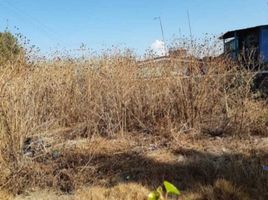  Land for sale in Atenco, Mexico, Atenco