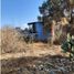  Land for sale in Atenco, Mexico, Atenco