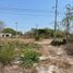  Grundstück zu verkaufen in Hunucma, Yucatan, Hunucma