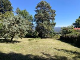  Grundstück zu verkaufen in Valle De Bravo, Mexico, Valle De Bravo