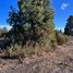  Land for sale in Rio Negro, Bariloche, Rio Negro