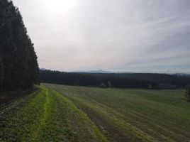  Terreno (Parcela) en venta en Araucanía, Temuco, Cautín, Araucanía