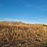  Land for sale in Futaleufu, Chubut, Futaleufu