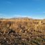  Land for sale in Futaleufu, Chubut, Futaleufu