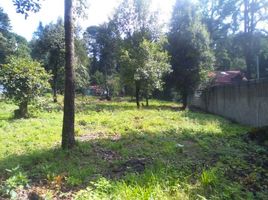  Terreno (Parcela) en venta en México, Tianguistenco, México