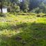  Terreno (Parcela) en venta en México, Tianguistenco, México