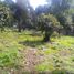  Terreno (Parcela) en venta en México, Tianguistenco, México