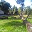  Terreno (Parcela) en venta en México, Tianguistenco, México