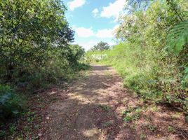  Terreno (Parcela) en venta en Yaxkukul, Yucatán, Yaxkukul