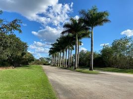  Grundstück zu verkaufen in Conkal, Yucatan, Conkal