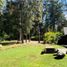 4 Schlafzimmer Haus zu verkaufen in Valle De Bravo, Mexico, Valle De Bravo, Mexico