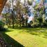 4 Schlafzimmer Haus zu verkaufen in Valle De Bravo, Mexico, Valle De Bravo, Mexico