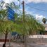  Grundstück zu vermieten in Torreon, Coahuila, Torreon