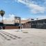  Land for rent in Torreon, Coahuila, Torreon