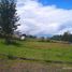  Terreno (Parcela) en venta en Alangasi, Pichincha, Alangasi, Quito