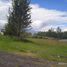 Terreno (Parcela) en venta en Alangasi, Pichincha, Alangasi, Quito