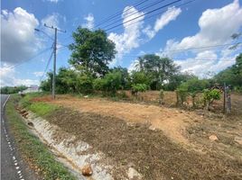  Land for sale in San Carlos, David, San Carlos