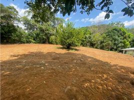  Terrain for sale in David, Chiriqui, San Carlos, David