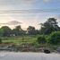  Land for rent in Mapastepec, Chiapas, Mapastepec