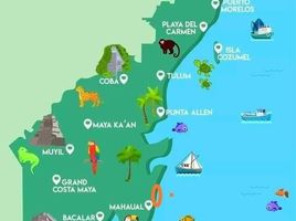  Grundstück zu verkaufen in Othon P Blanco, Quintana Roo, Othon P Blanco