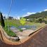 Land for sale in Florencia, Caqueta, Florencia, Caqueta