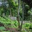  Terrain for sale in Sukawati, Gianyar, Sukawati