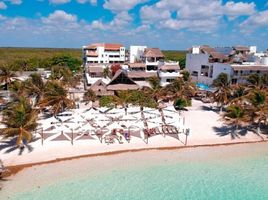  Grundstück zu verkaufen in Othon P Blanco, Quintana Roo, Othon P Blanco