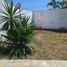 5 Schlafzimmer Villa zu vermieten in Temixco, Morelos, Temixco, Morelos